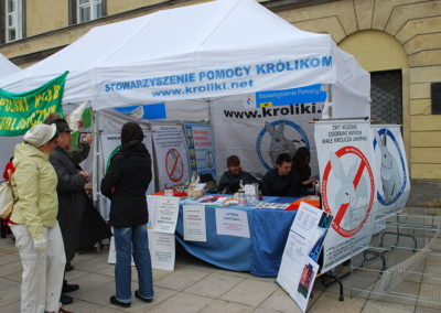 Rok 2008, Warszawa. Stanowisko Stowarzyszenia Pomocy Królikom podczas V Pikniku Organizacji Pozarządowych w Warszawie